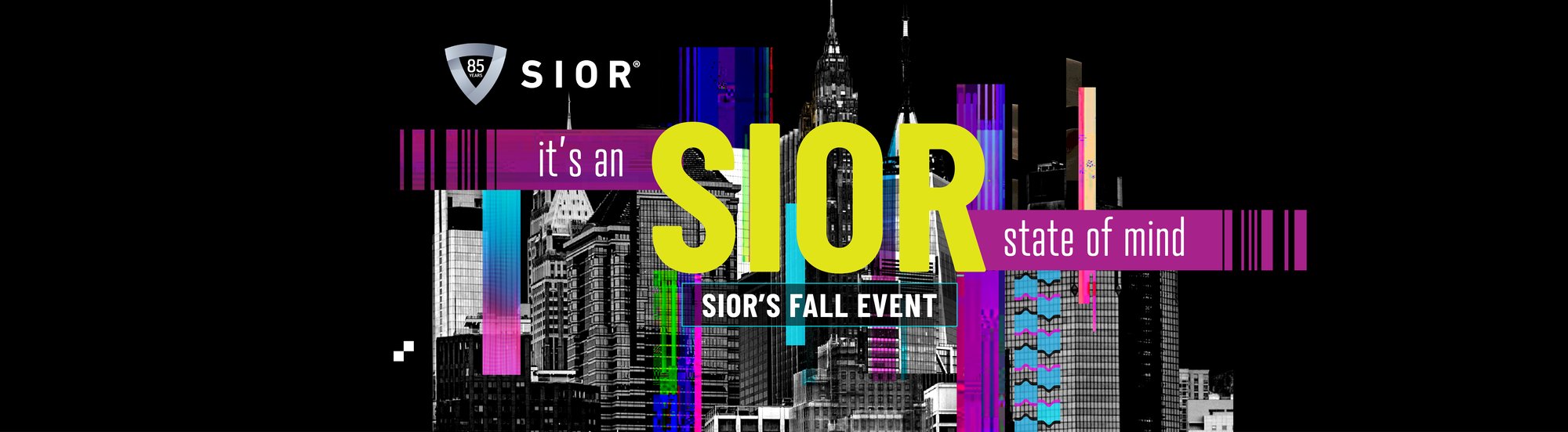 SIOR Website Background w Logo